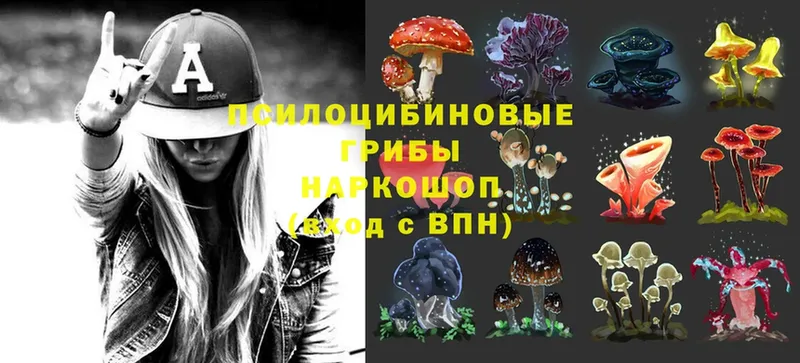 Псилоцибиновые грибы MAGIC MUSHROOMS  KRAKEN   Волхов  купить наркотики сайты 